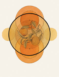 "Diagrama Medicinal: Naranja”